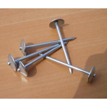 China Supplier of Umbrella Roofing Nail